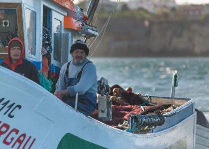 Pushing ahead: assessing the impact of more selective fishing in the Straits of Sicily