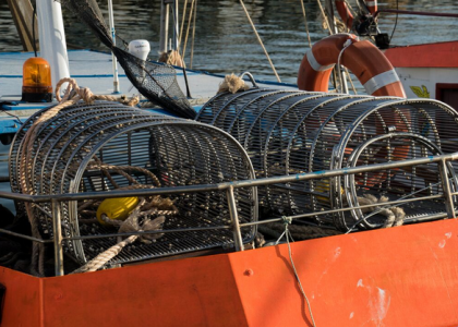 Can modified dredging gear reduce discards in clam fisheries?