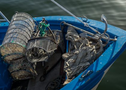 New MINOUW research shows better selectivity boosts fish stocks and profits